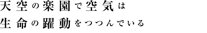 天空の楽園で空気は生命の躍動をつつんでいる